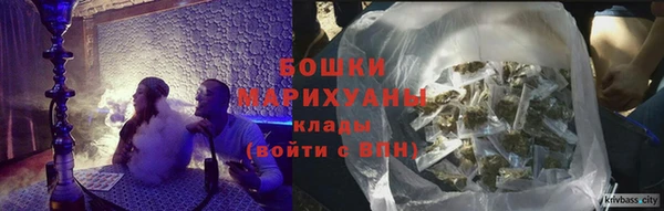 сатива Новокубанск