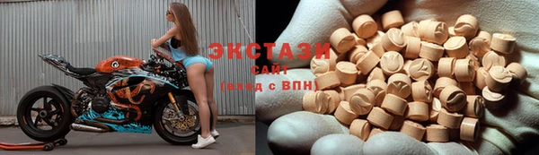 дмт Ельня