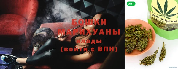 дмт Ельня
