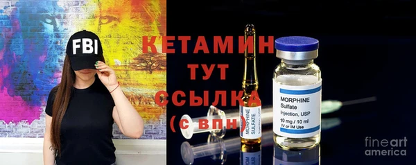 дмт Ельня