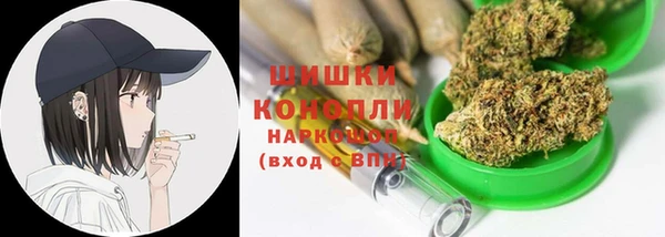 дмт Ельня