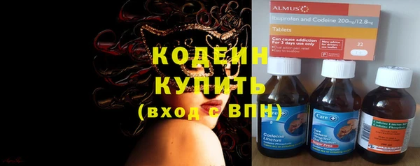 мет Няндома