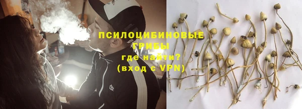 соль ск Елизово