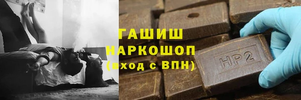дмт Ельня