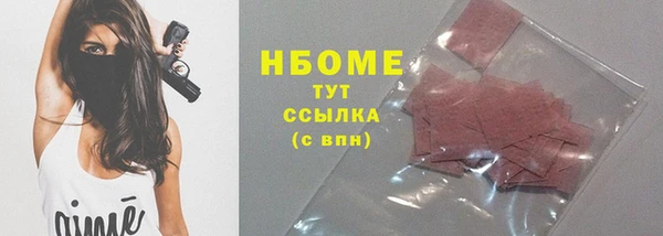 сатива Новокубанск