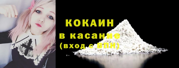 дмт Ельня