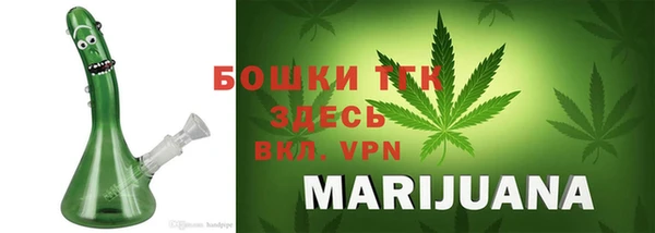 дмт Ельня