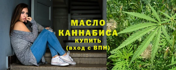 дмт Пересвет