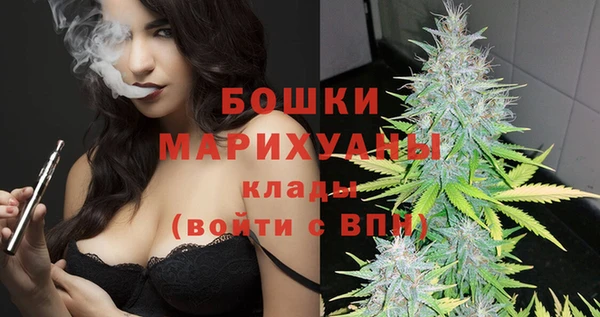 мет Няндома