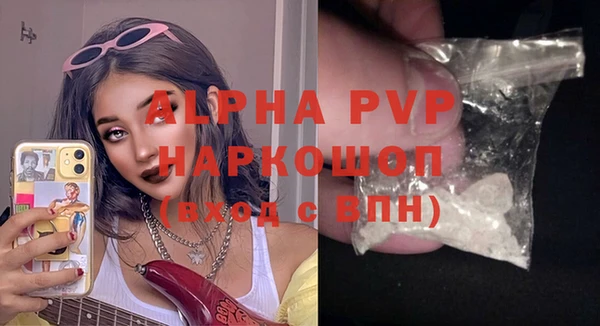 дмт Ельня